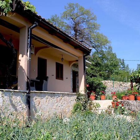 Holiday Home Gazevic Virpazar Esterno foto