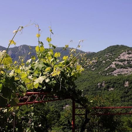 Holiday Home Gazevic Virpazar Esterno foto