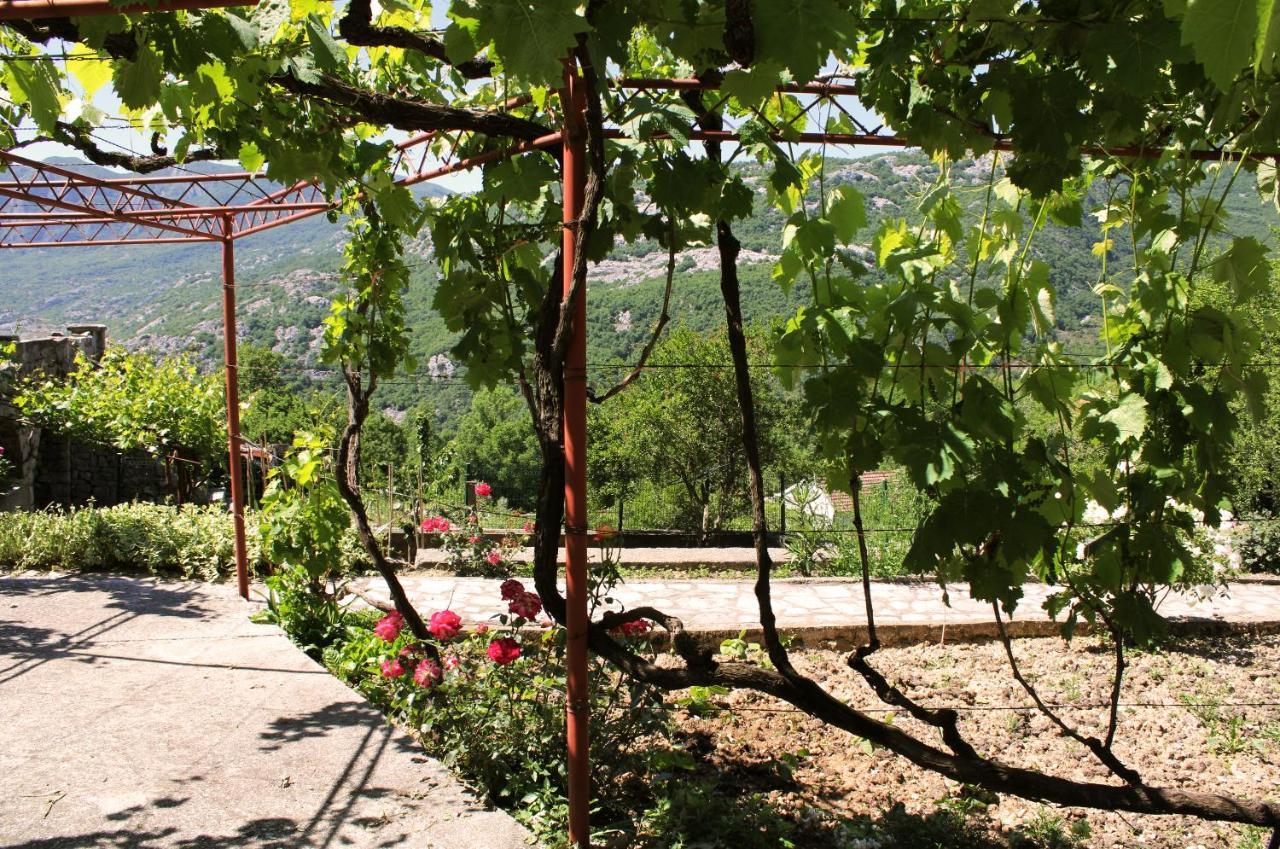 Holiday Home Gazevic Virpazar Esterno foto